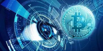 年终盘点 各类投资产品的表现与启示