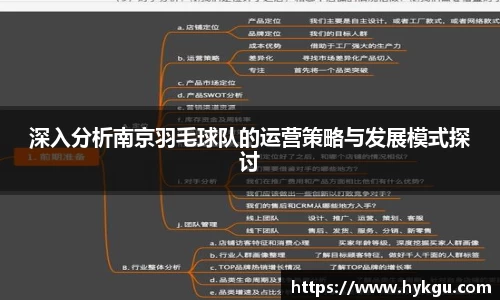 深入分析南京羽毛球队的运营策略与发展模式探讨